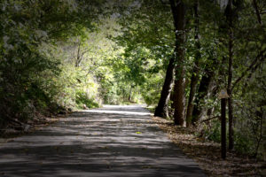 Lake Bell Vista Walk image