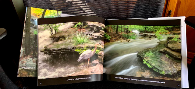 Image of Dan's Bella Vista Arkansas photography book